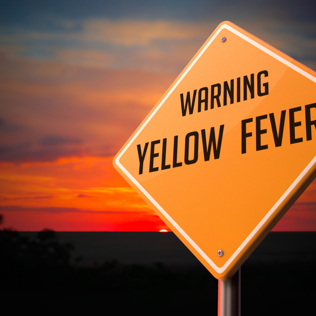 yellow-fever-vaccination